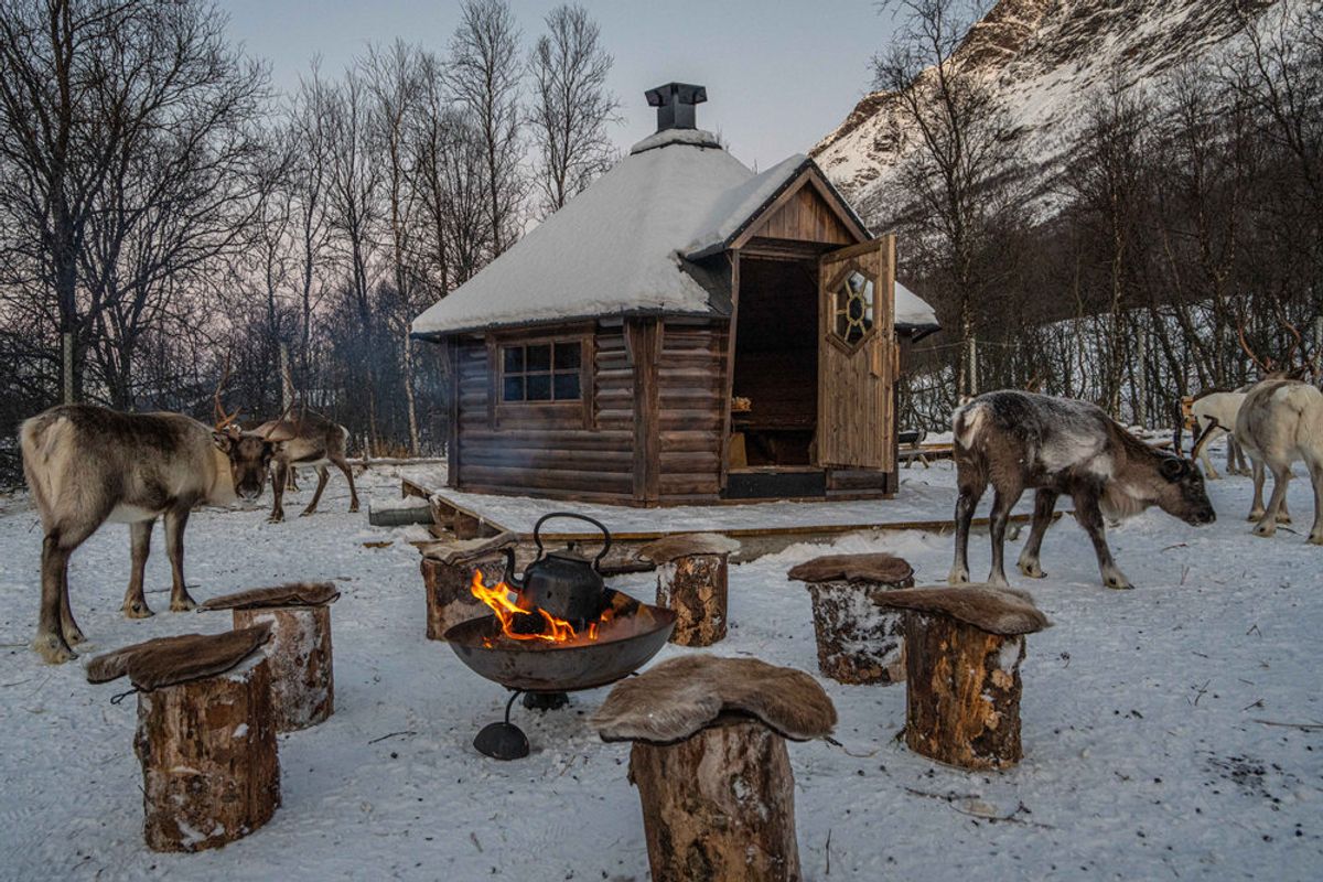 Grillhytte 7 Royal - Buet væg